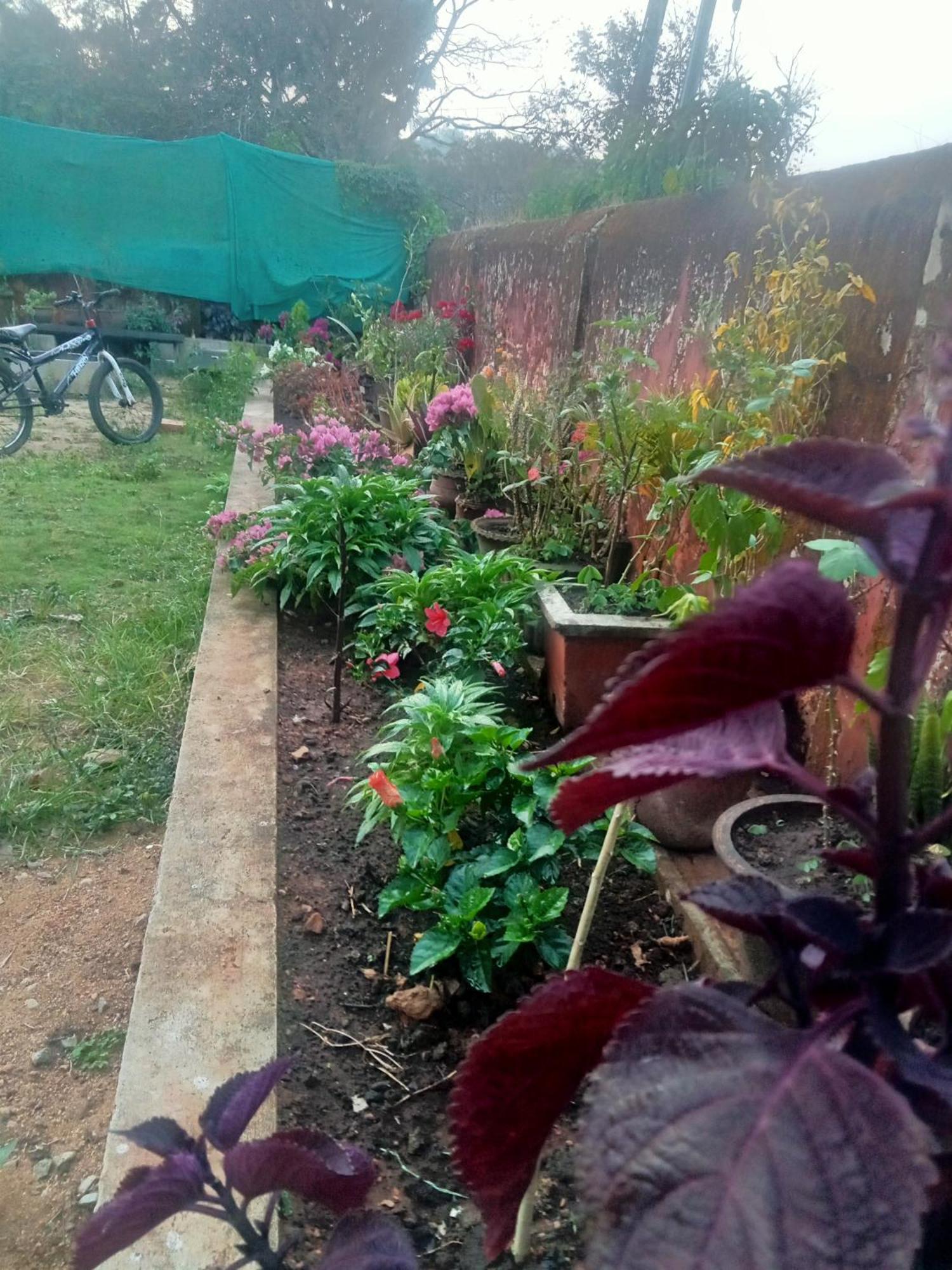 Eshwarkrupa Homestay Madikeri Esterno foto