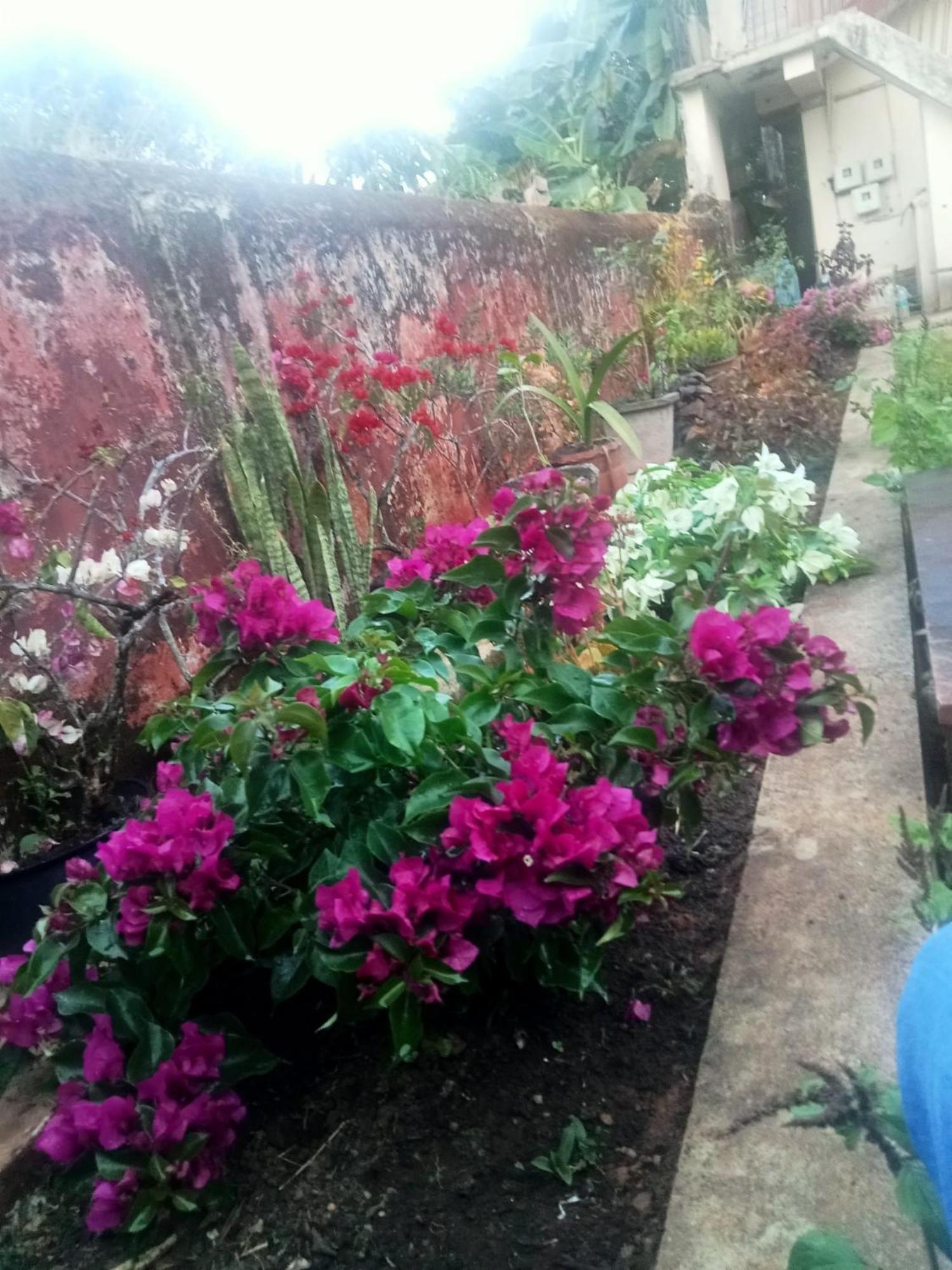 Eshwarkrupa Homestay Madikeri Esterno foto